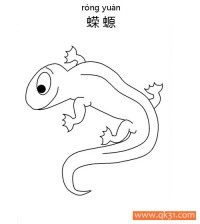 Salamander蝾螈(两栖动物，形似蜥蜴)|简笔画|素描|涂鸦|涂颜色