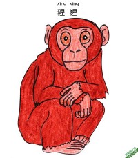 怎样教孩子们一步步画一个 卡通 猴子 猩猩monkey|简笔画|素描|涂鸦|涂颜色