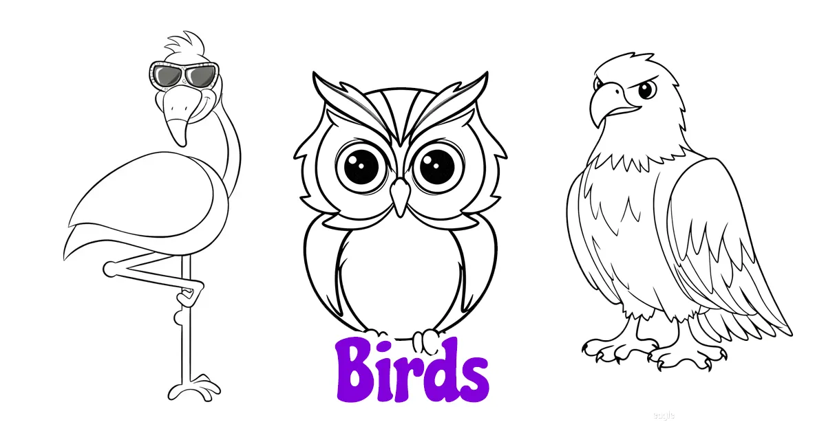 Birds coloring pages