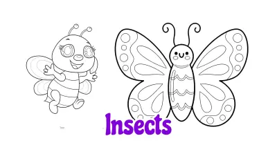 Insects Coloring Pages