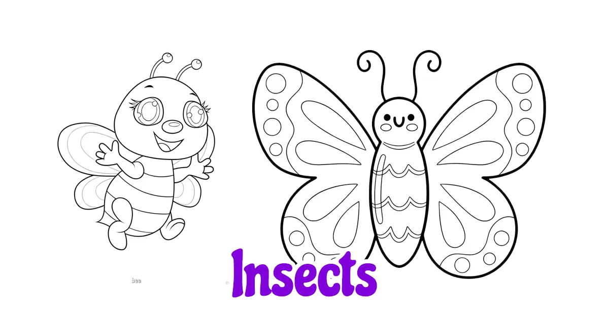 Insects coloring pages