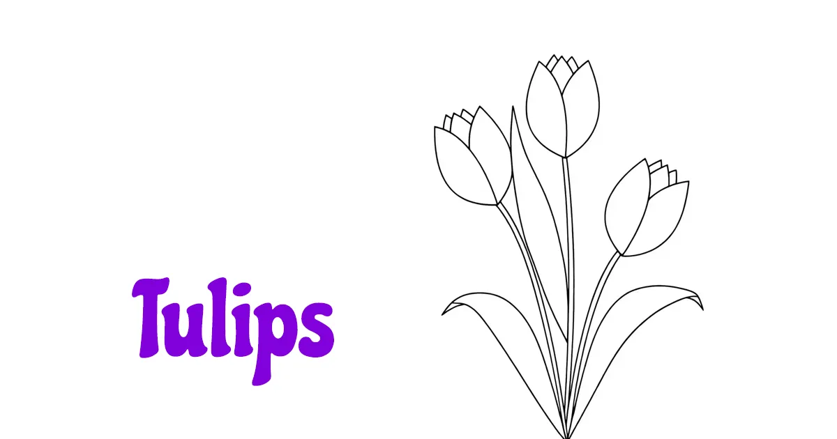 Tulips coloring pages