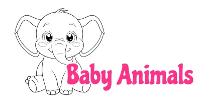 Baby Animals Coloring Pages collection