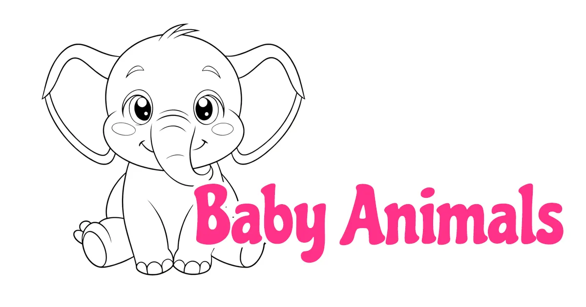 Baby Animals Coloring Pages