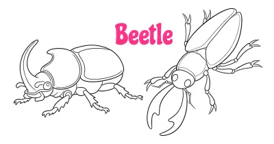 Beetle Coloring Pages Collection