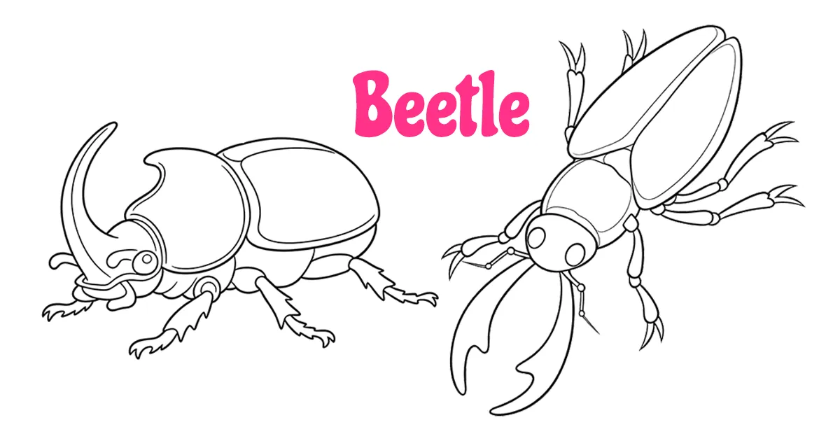 Beetle Coloring Pages