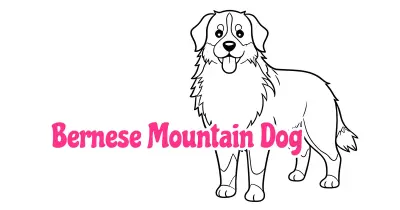 Bernese Mountain Dog Coloring Pages collection