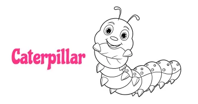Caterpillar Coloring Pages Collection