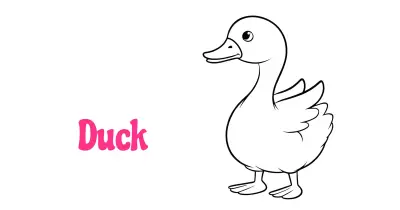 Duck Coloring Pages collection
