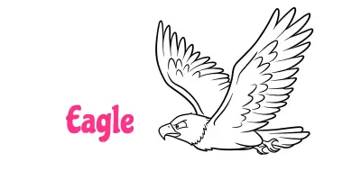 Eagle Coloring Pages Collection