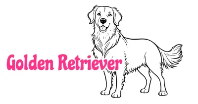  Golden Retriever Coloring Pages collection