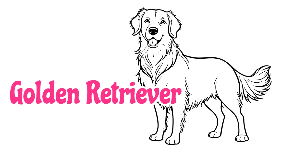  Golden Retriever Coloring Pages