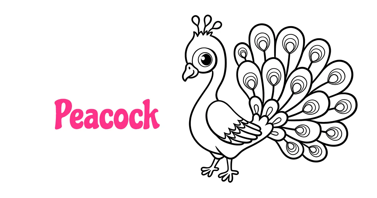 Peacock Coloring Pages