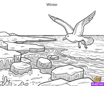 Free printable Arctic Animals Coloring Page: Seagull & Ice Floes coloring page
