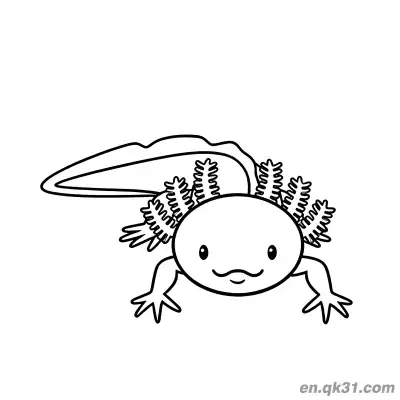 Free printable Front View Swimming Realistic Axolotl Coloring Page coloring page
