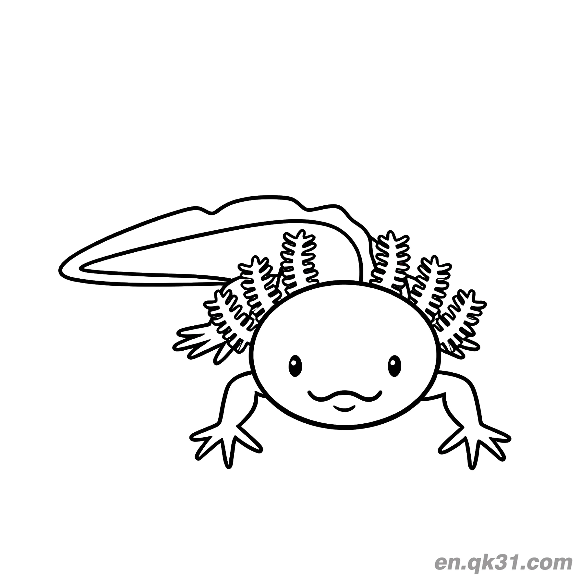 Front View Swimming Realistic Axolotl Coloring Page – Free Printable Coloring Page for Kids and Adults