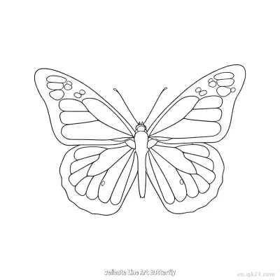 Free printable Delicate Line Art Butterfly  Coloring Page - Free PDF Printable Butterfly Coloring Sheets coloring page
