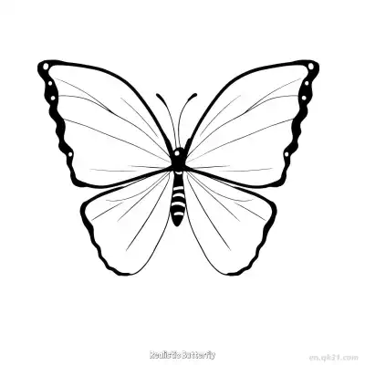 Free printable Realistic Butterfly  Coloring Page - Free PDF Printable Butterfly Coloring Sheets coloring page