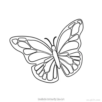 Free printable Realistic Butterfly Line Art  Coloring Page - Free PDF Printable Butterfly Coloring Sheets coloring page