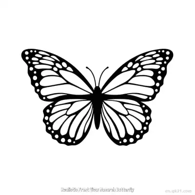 Free printable Realistic Front View Monarch Butterfly  Coloring Page - Free PDF Printable Butterfly Coloring Sheets coloring page