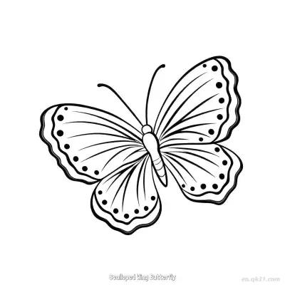 Free printable Scalloped Wing Butterfly  Coloring Page - Free PDF Printable Butterfly Coloring Sheets coloring page