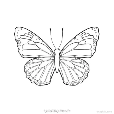 Free printable Spotted Wings Butterfly  Coloring Page - Free PDF Printable Butterfly Coloring Sheets coloring page