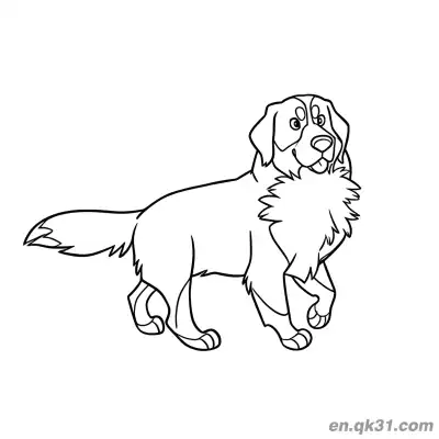 Free printable Bernese Mountain Dog Walking and Looking Back Coloring Page coloring page