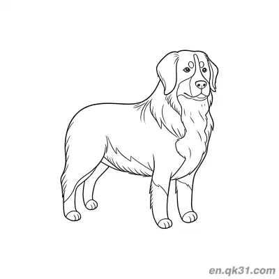 Free printable Elegant Side Standing Bernese Mountain Dog Coloring Page coloring page