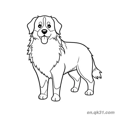 Free printable Front View Standing Bernese Mountain Dog with Tongue Out Coloring Page coloring page