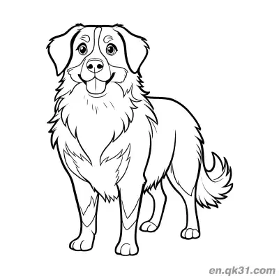 Free printable Front View Standing Long Haired Bernese Mountain Dog Coloring Page coloring page