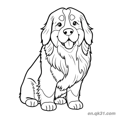 Free printable Side View Sitting Long Haired Bernese Mountain Dog Coloring Page coloring page
