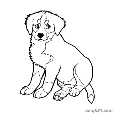 Free printable Well-Behaved Sitting Bernese Mountain Puppy Coloring Page coloring page