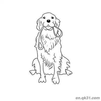 Free printable Golden Retriever Holding a Leash Coloring Page coloring page