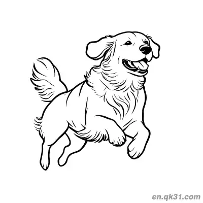 Free printable Jumping Golden Retriever Energetic Style Coloring Page coloring page
