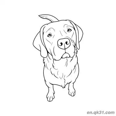 Free printable Low Angle Golden Retriever Head Close Up Coloring Page coloring page