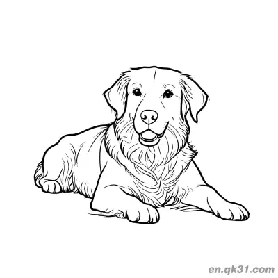 Free printable Lying Front View Golden Retriever Realistic Detail Coloring Page coloring page