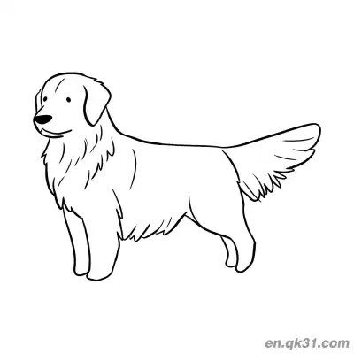 Free printable Realistic Standing Golden Retriever Coloring Page coloring page