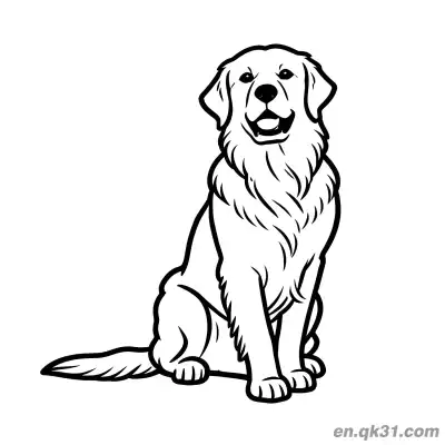 Free printable Sitting Adult Golden Retriever Realistic Fur Coloring Page coloring page