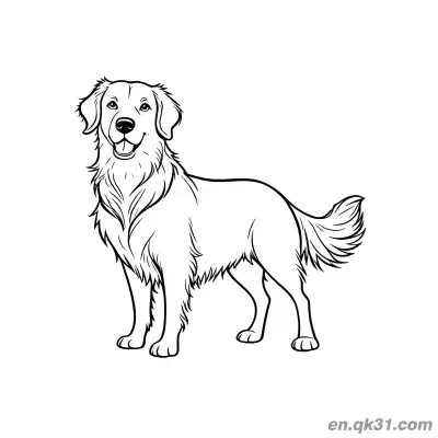 Free printable Standing Adult Golden Retriever Standard Pose Coloring Page coloring page