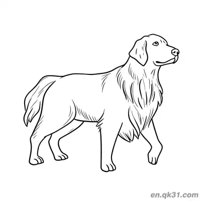 Free printable Walking Side View Golden Retriever Minimal Outline Coloring Page coloring page