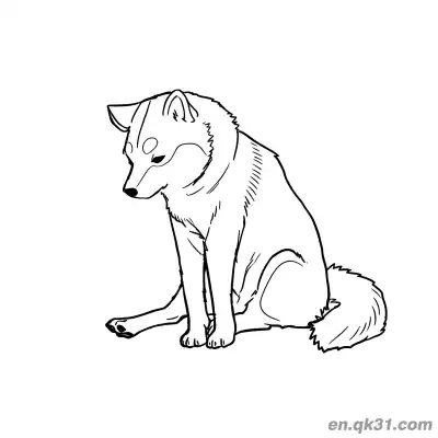 Free printable Realistic Shiba Inu Head Down Contemplative Coloring Page coloring page