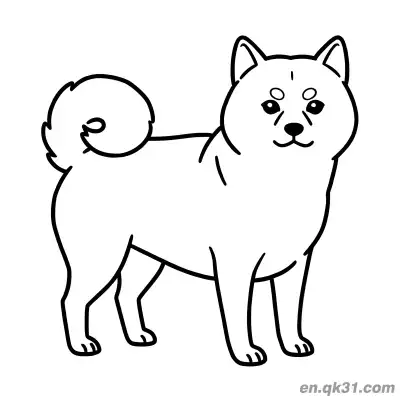 Free printable Standard Shiba Inu Standing Pose Coloring Sheet Printable coloring page
