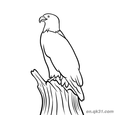 Free printable Angry Cartoon Eagle Perched Coloring Page coloring page