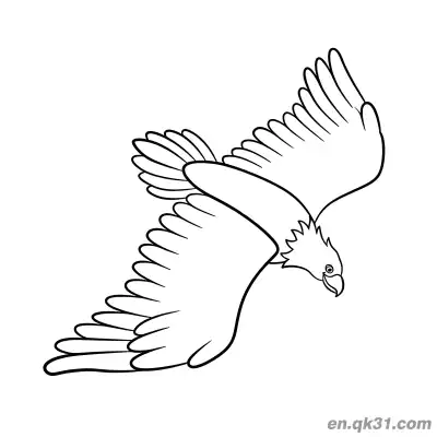 Free printable Diving Bald Eagle Flying Coloring Page coloring page