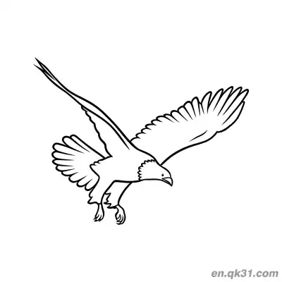 Free printable Long Wing Eagle Gliding Coloring Page coloring page