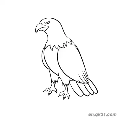 Free printable Realistic Flying Bald Eagle Coloring Page coloring page