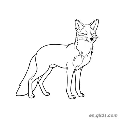 Free printable Realistic Standing Fox Coloring Page coloring page