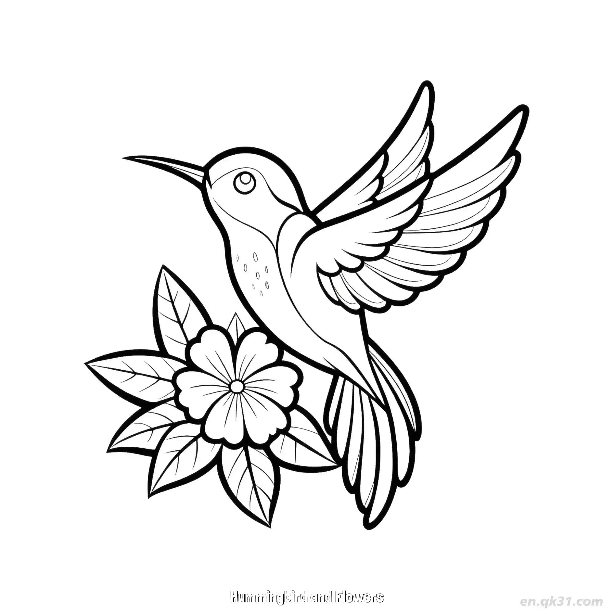 Hummingbird and Flowers 2 Coloring Page - Free Printable Hummingbird PDF Coloring Sheets – Free Printable Coloring Page for Kids and Adults