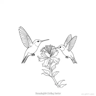 Free printable Hummingbird Eating Nectar 11 Coloring Page - Free PDF Printable Hummingbird Coloring Sheets coloring page