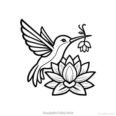Free printable Hummingbird Eating Nectar 3 Coloring Page - Free PDF Printable Hummingbird Coloring Sheets coloring page